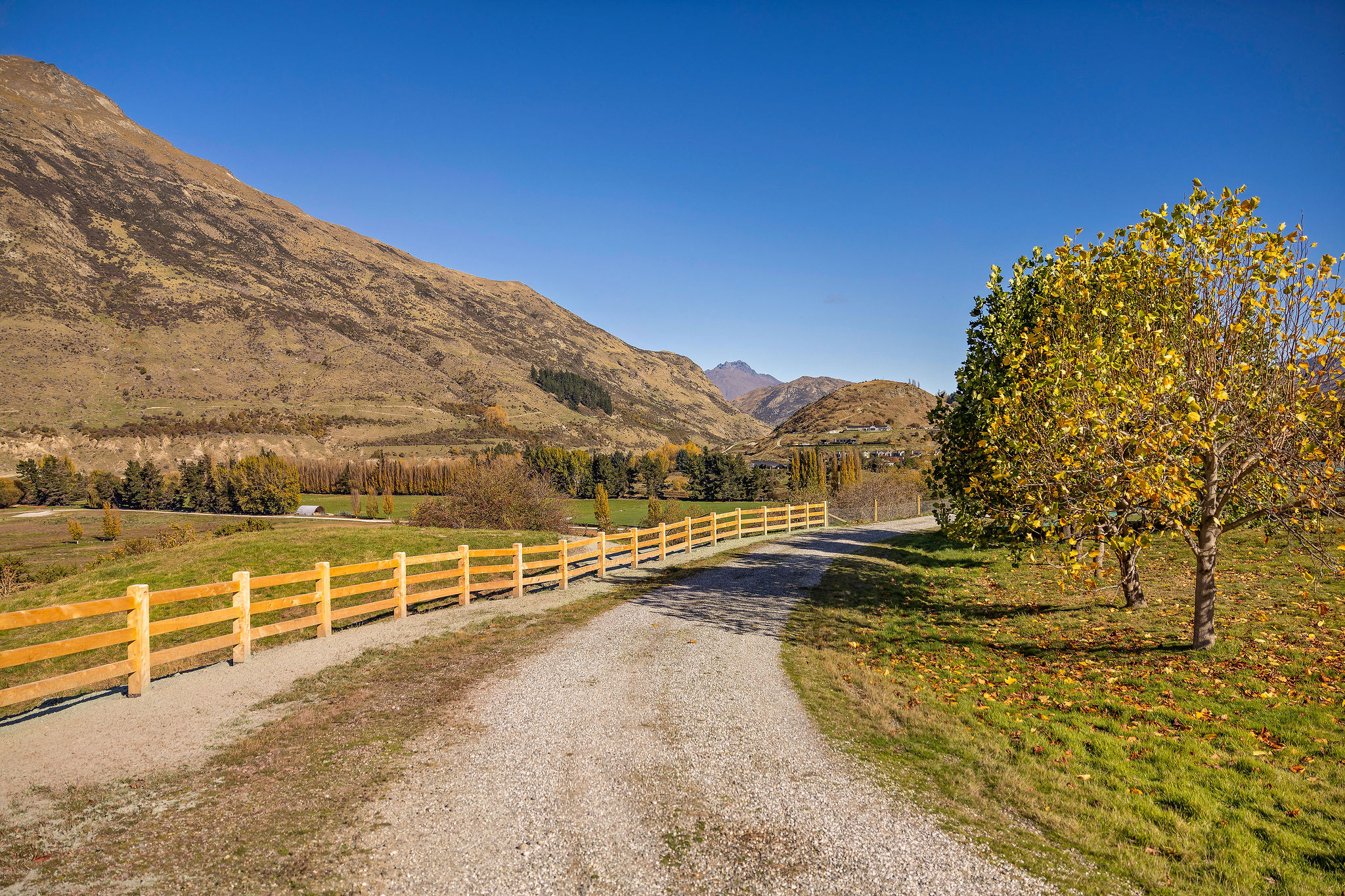 114 Alec Robins Road Lake Hayes_5