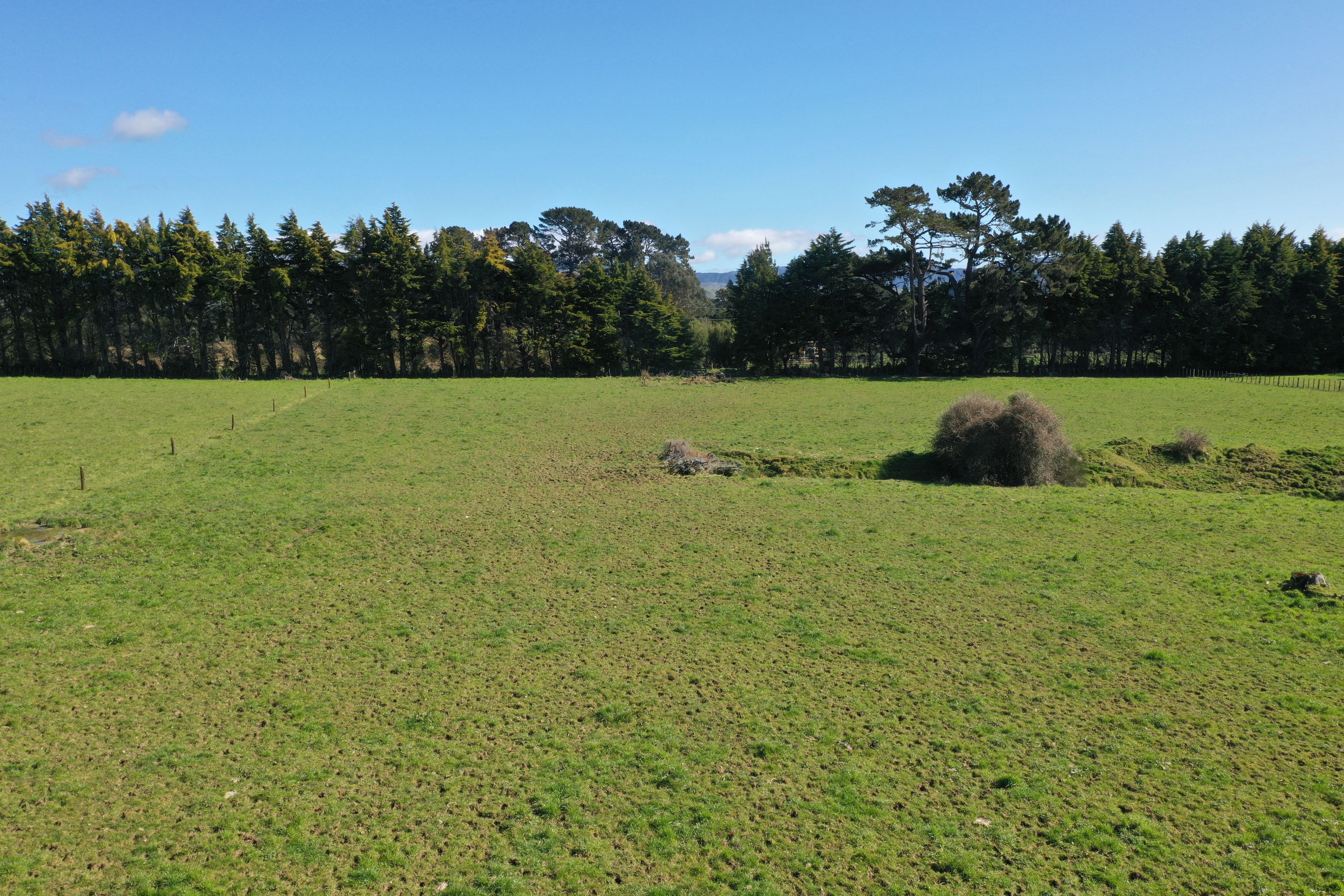 11 Marchant Eketahuna_10
