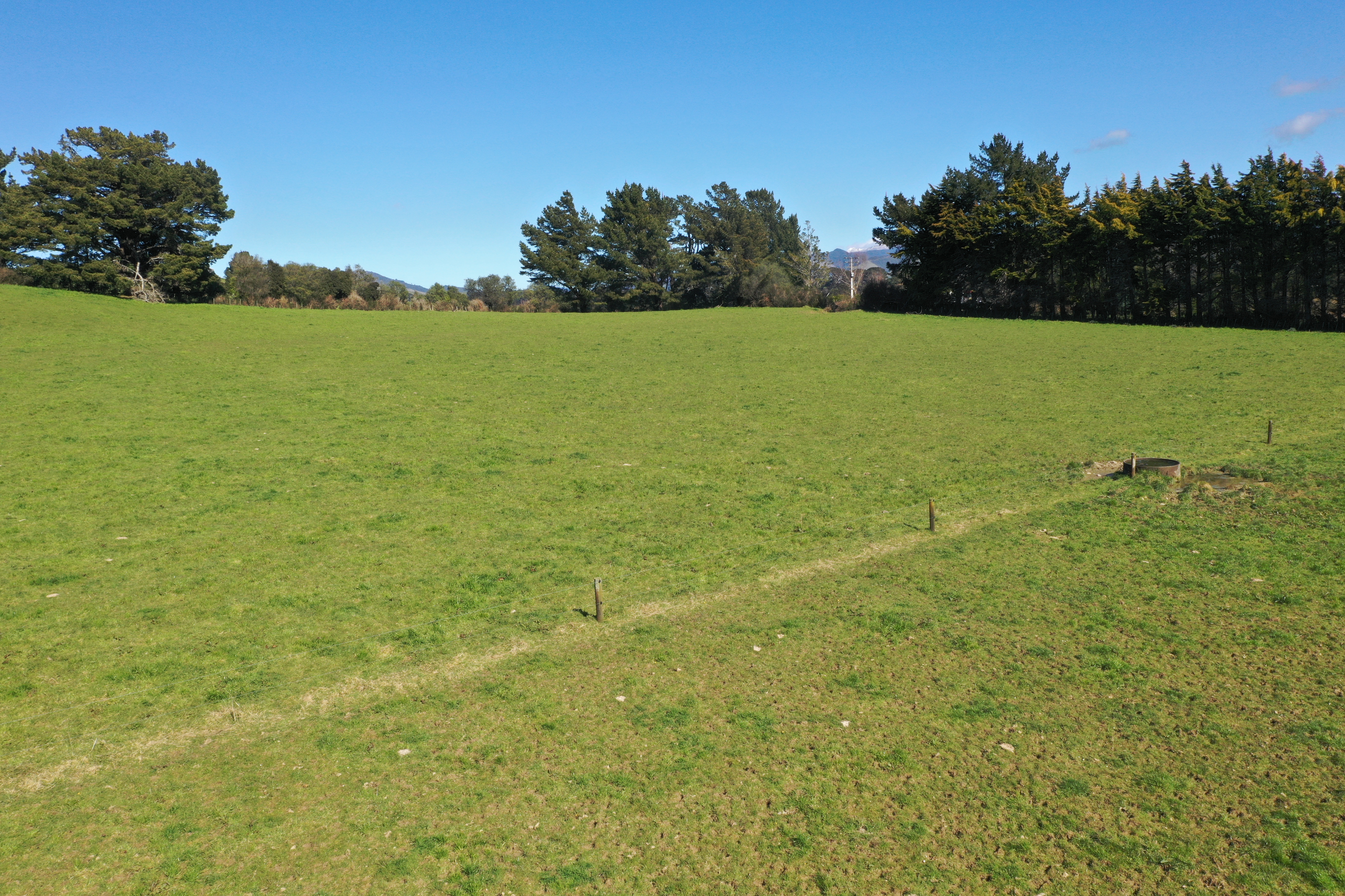 11 Marchant Eketahuna_8