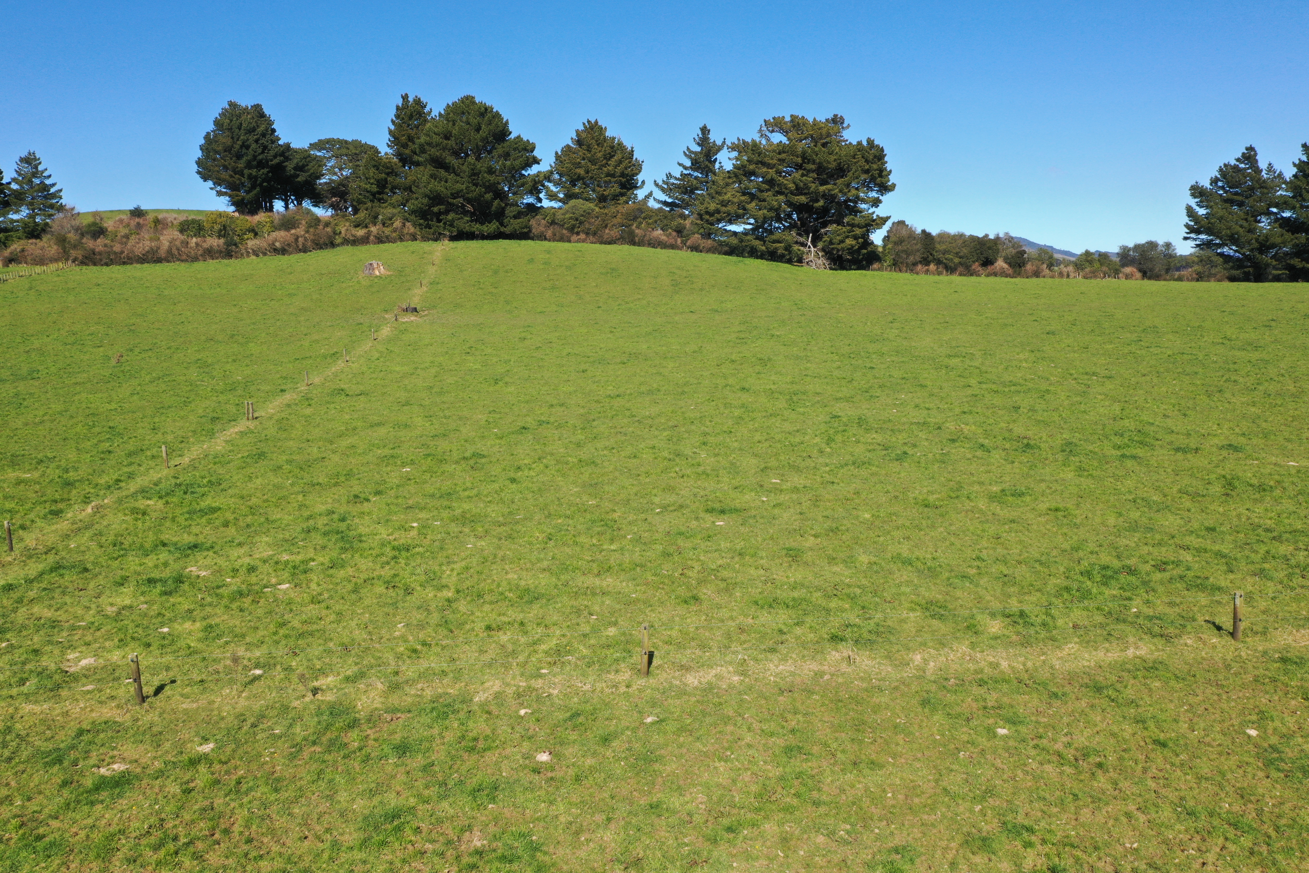 11 Marchant Eketahuna_7