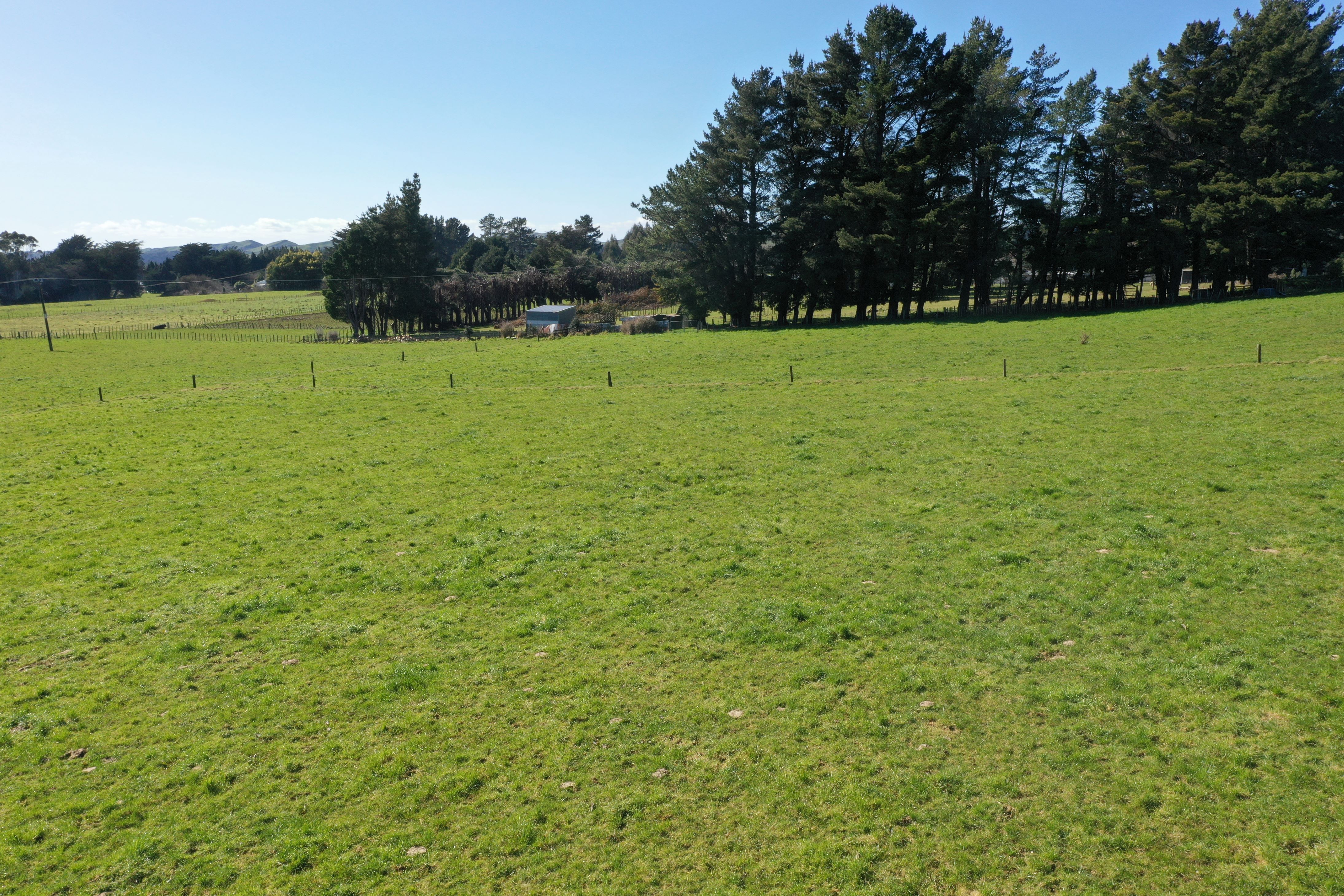 11 Marchant Eketahuna_13