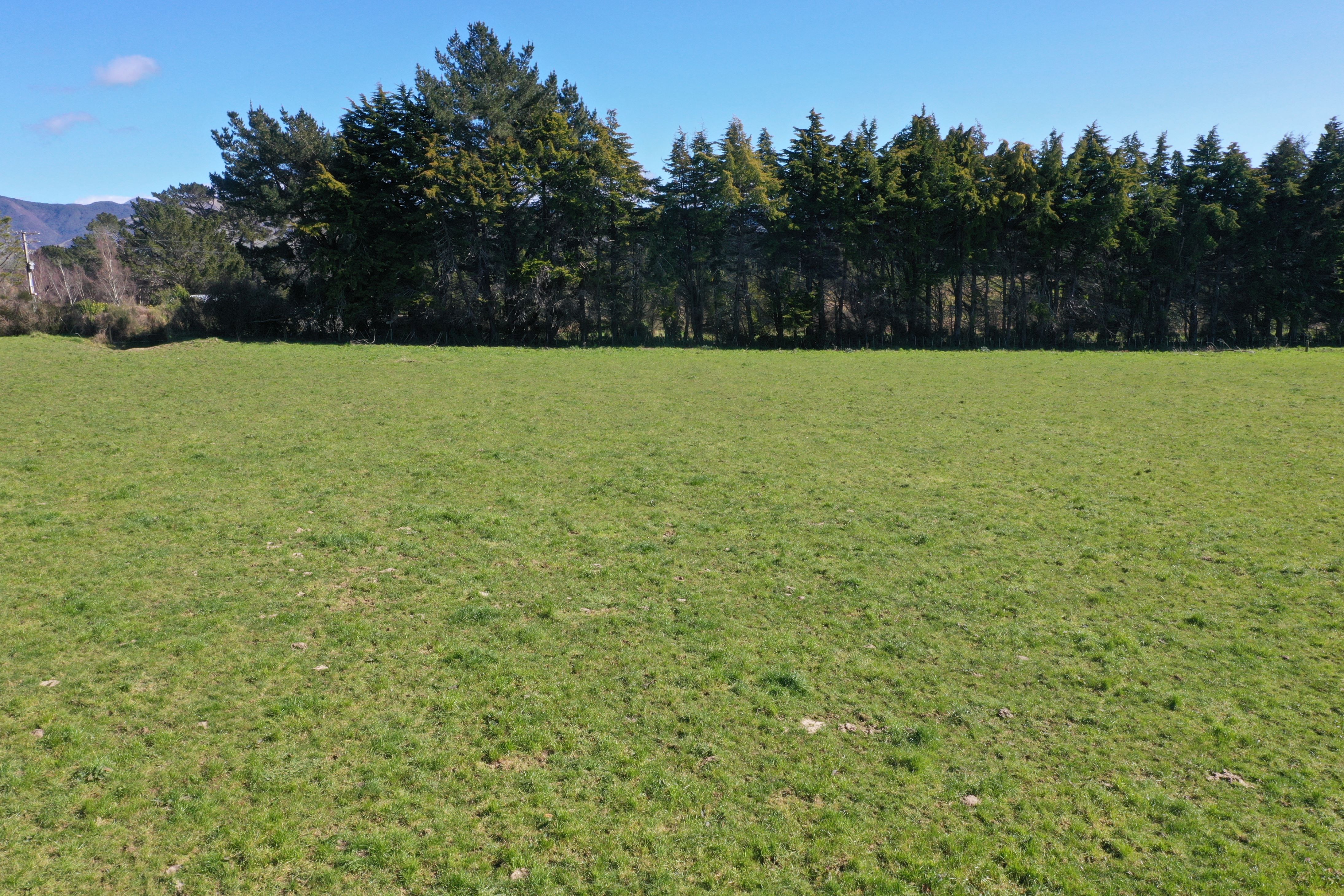 11 Marchant Eketahuna_14