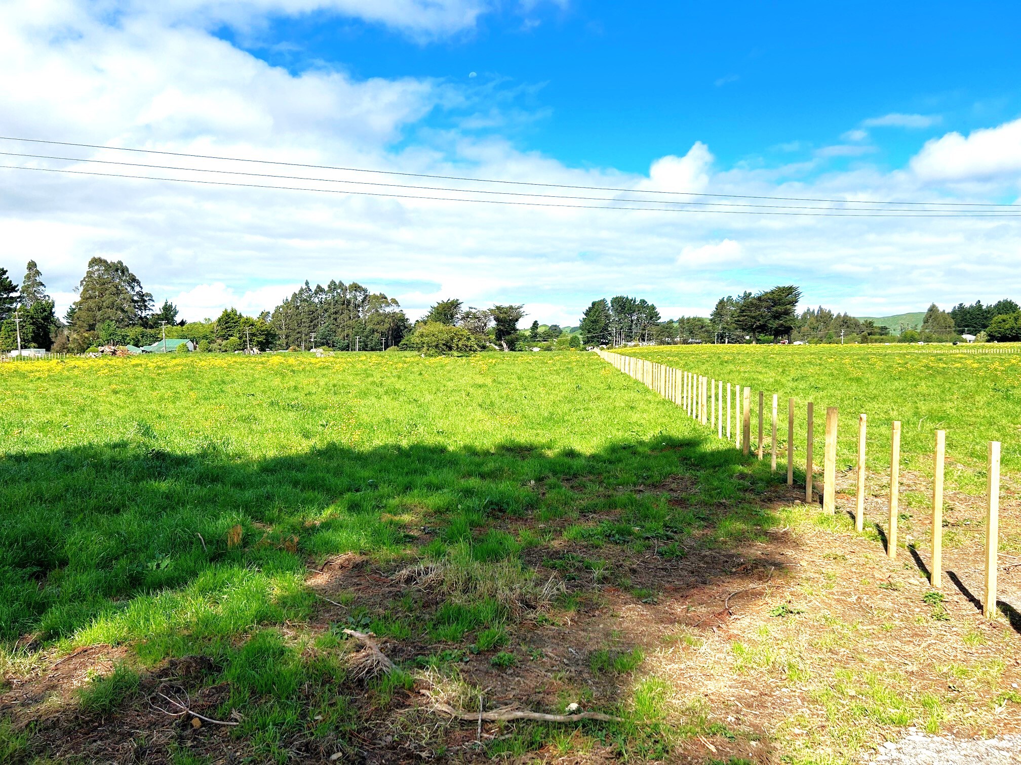 11 Marchant Eketahuna_6