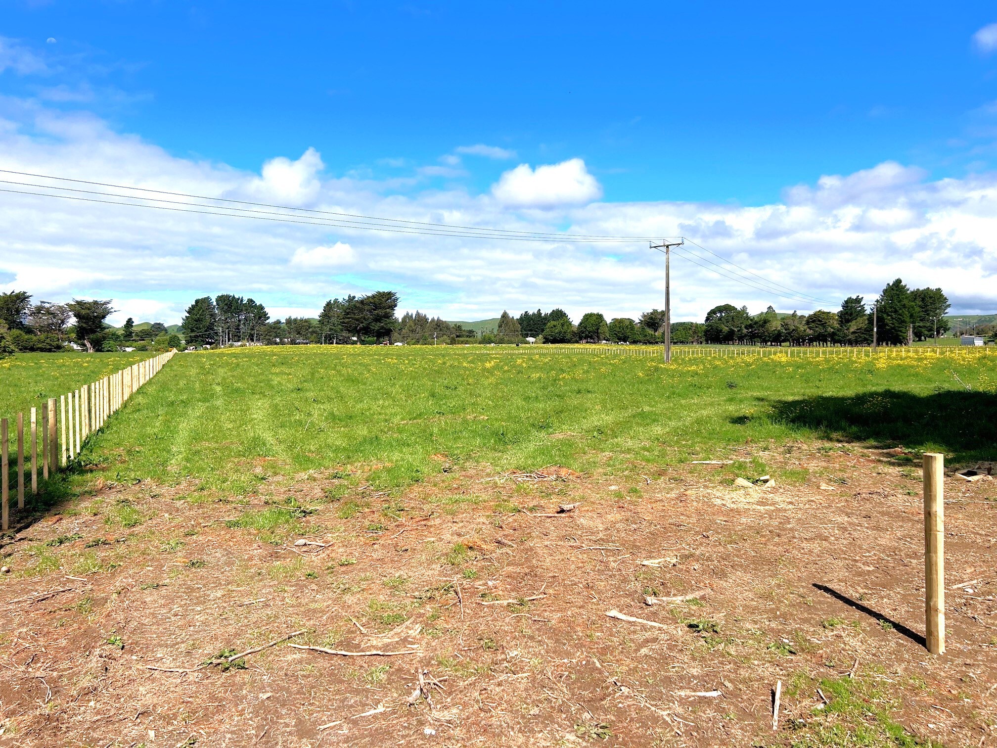 11 Marchant Eketahuna_3