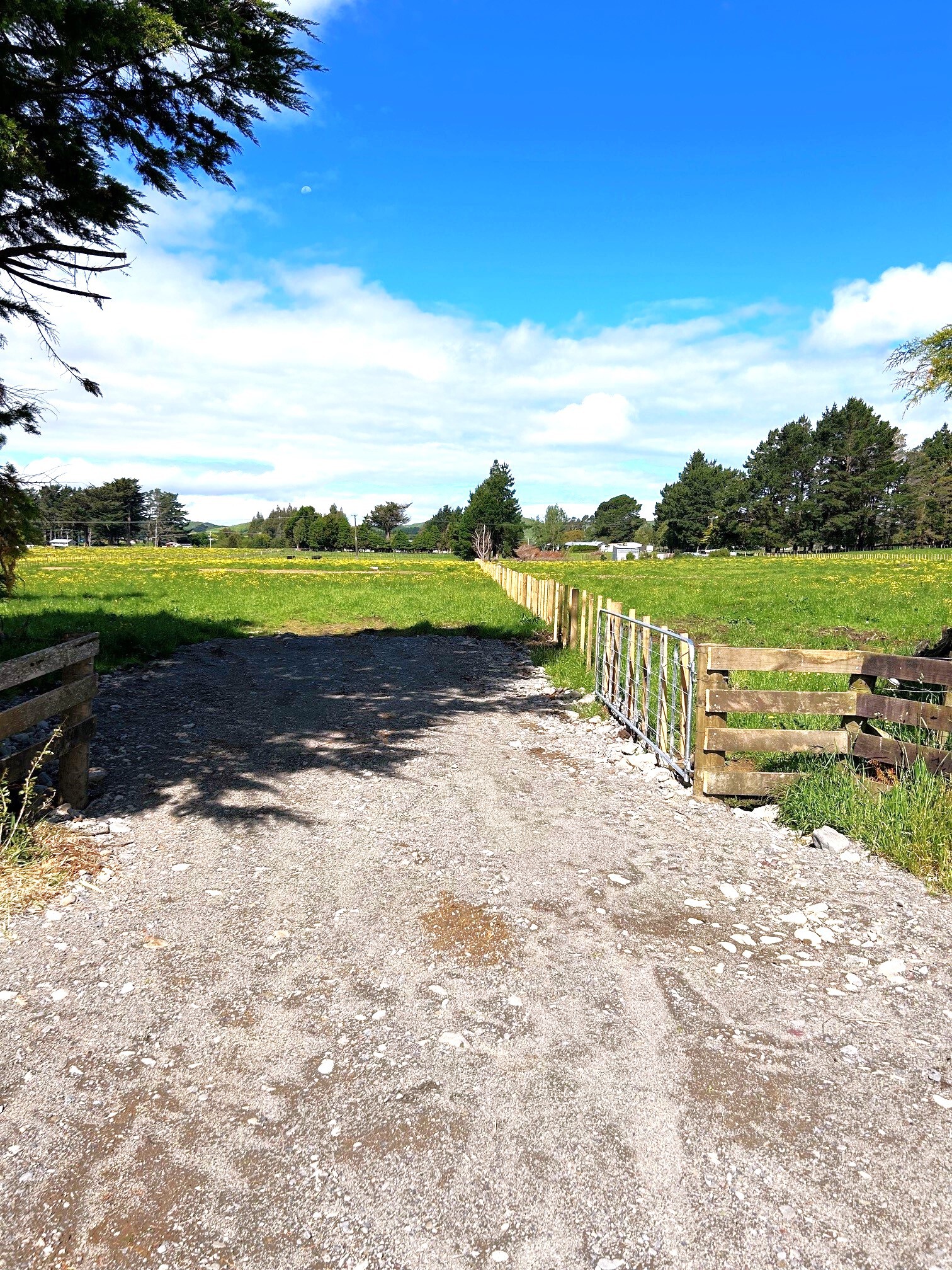 11 Marchant Eketahuna_4