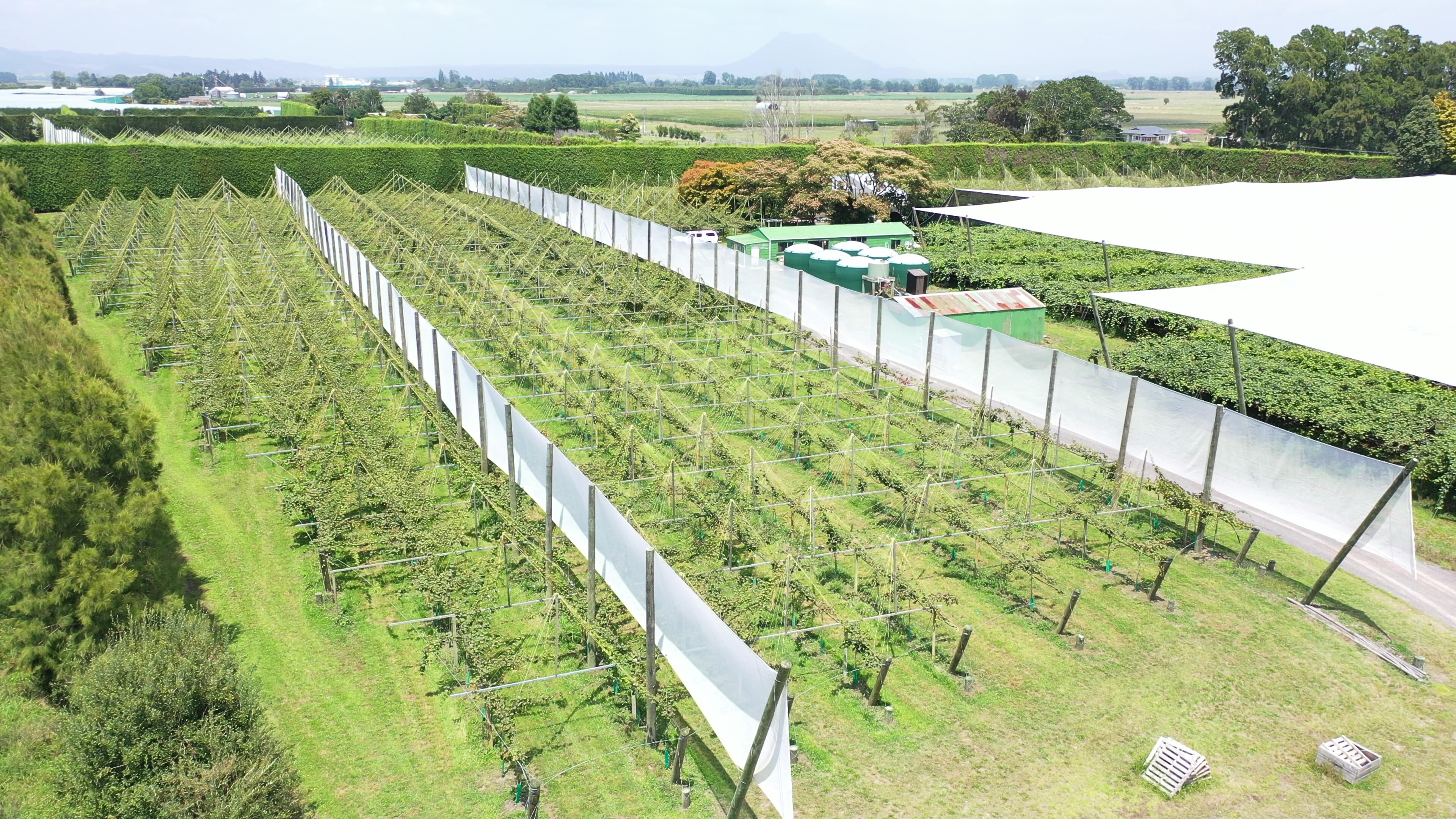 439 West Bank Road Edgecumbe_3