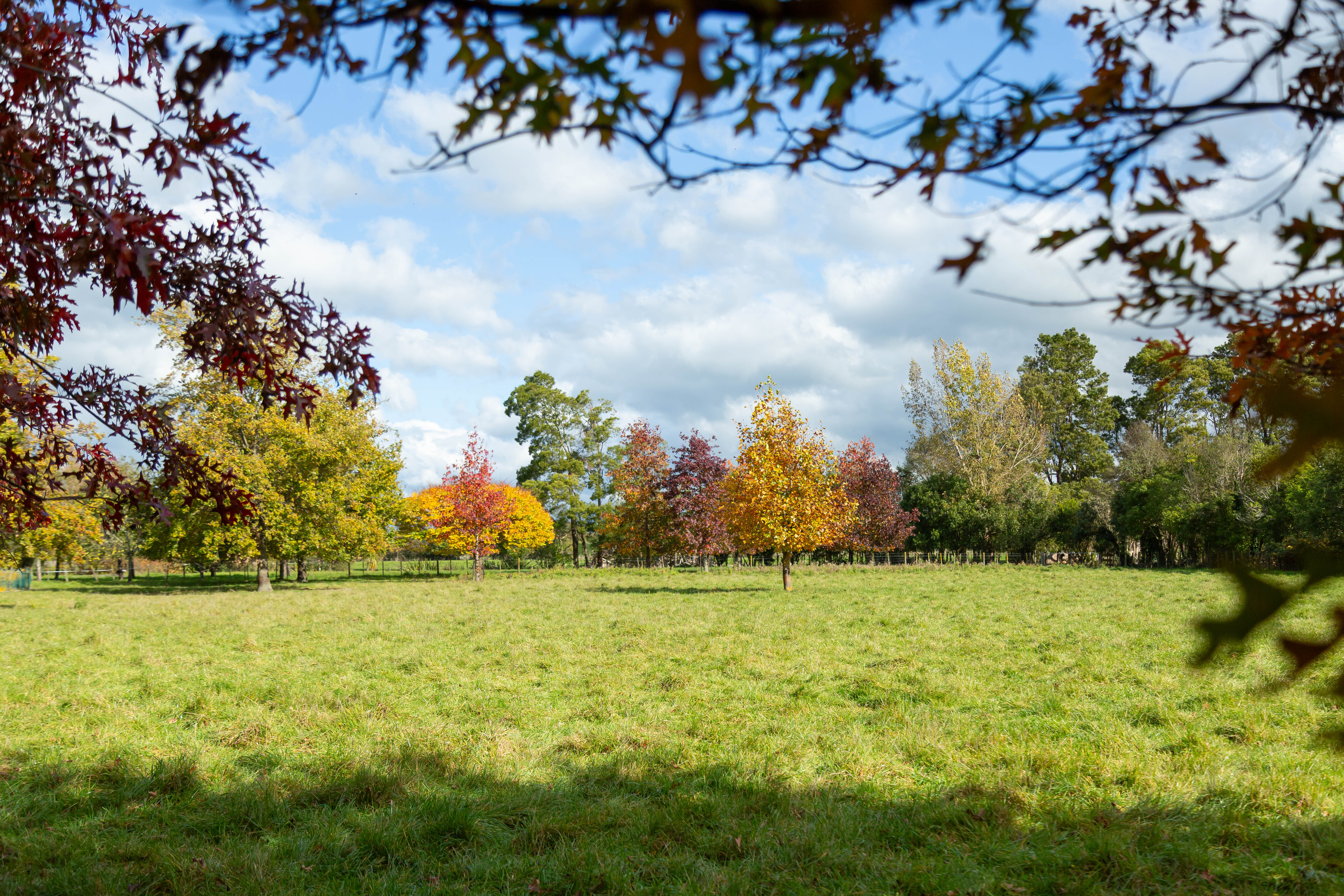 Greytown Lifestyle, location & development potential