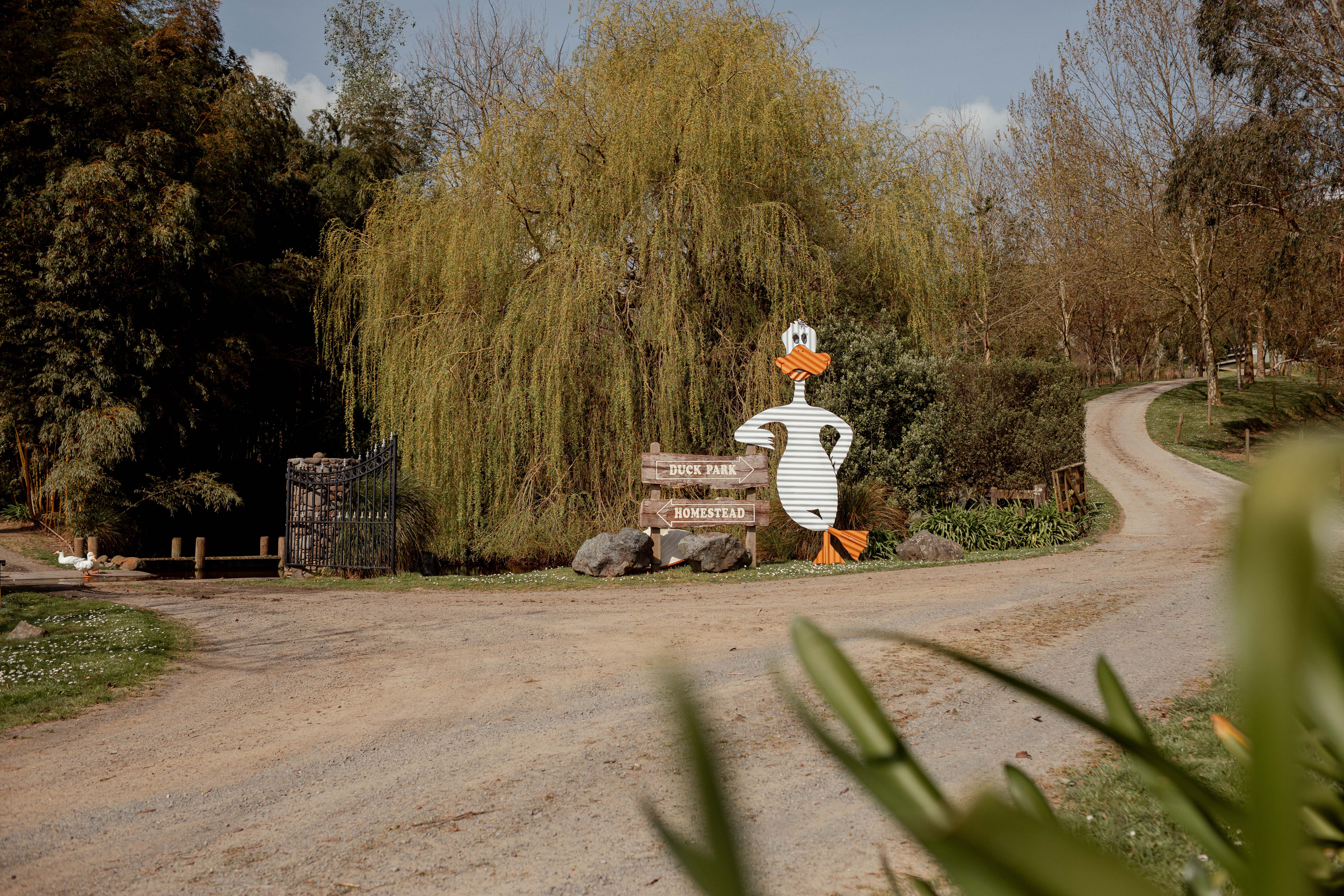 Address withheld Rotoorangi_21