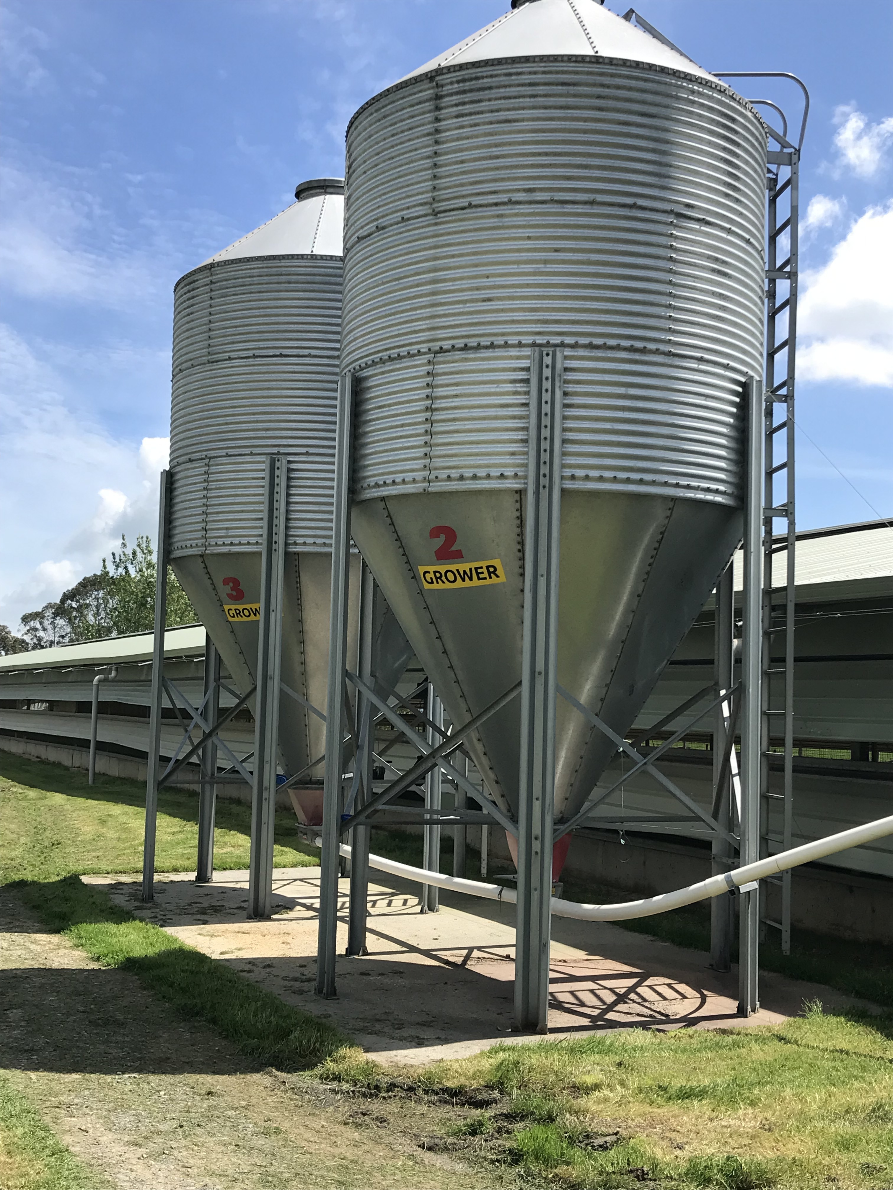 Address withheld Rotoorangi_5