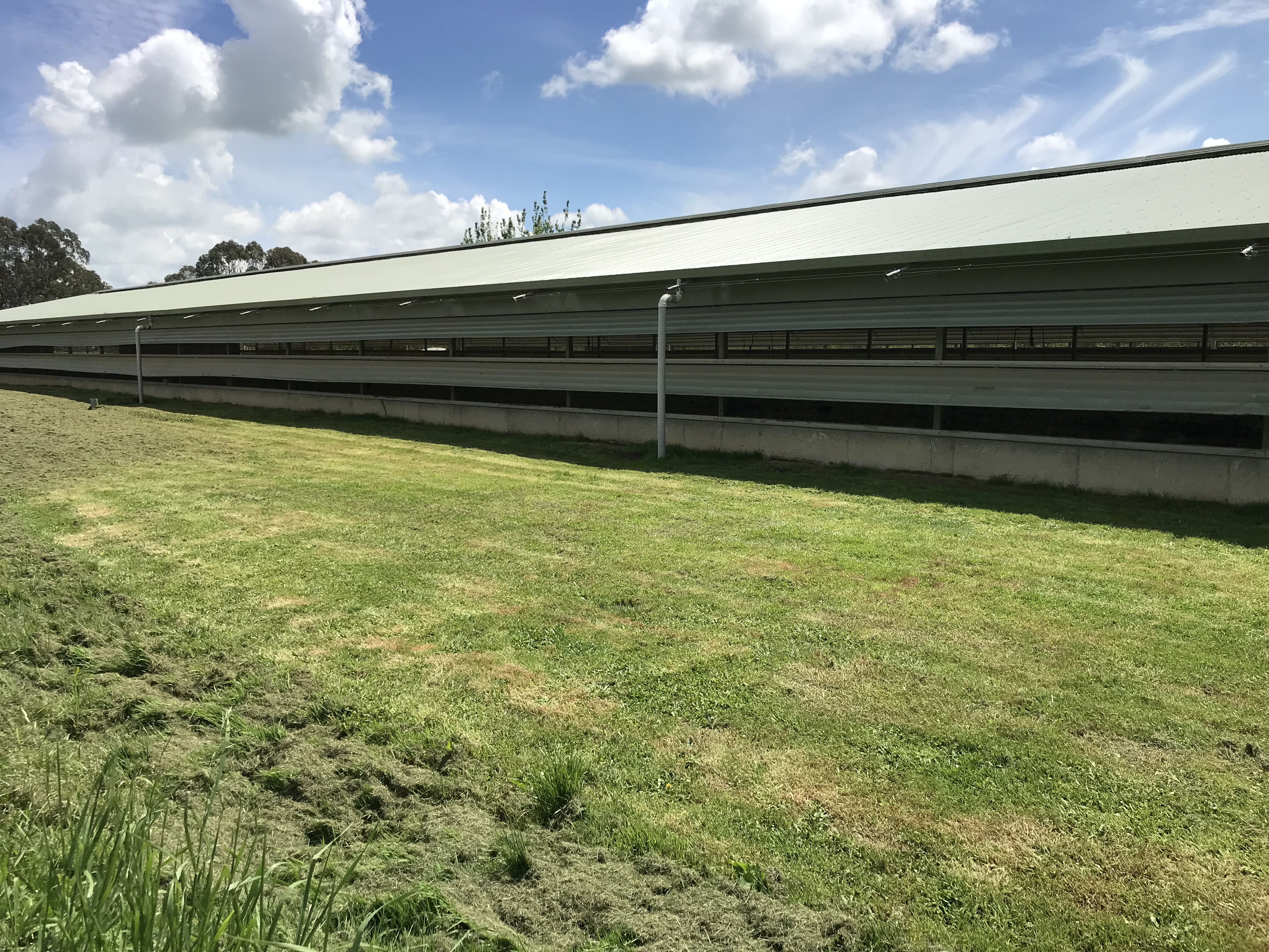 Address withheld Rotoorangi_6