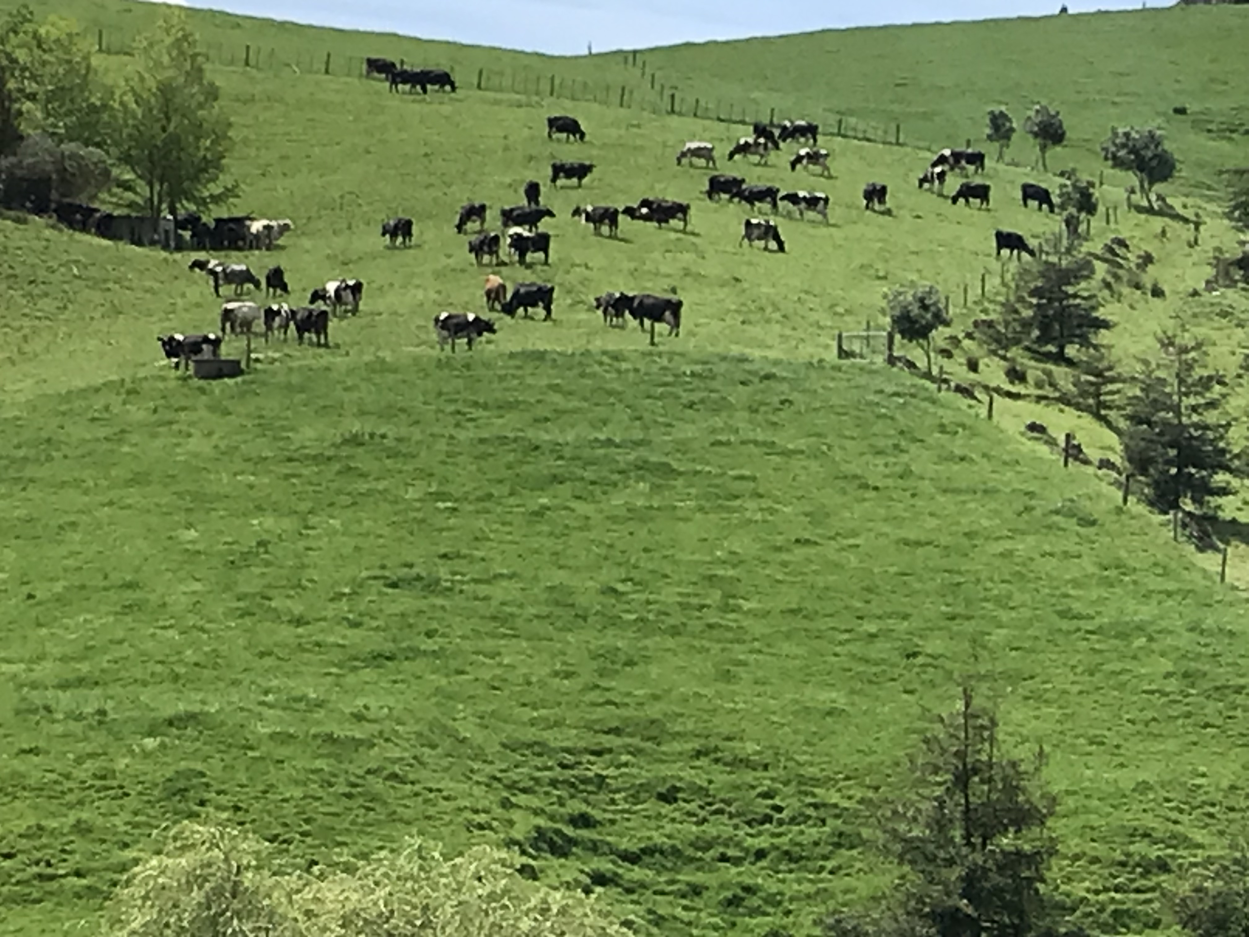 Address withheld Rotoorangi_3