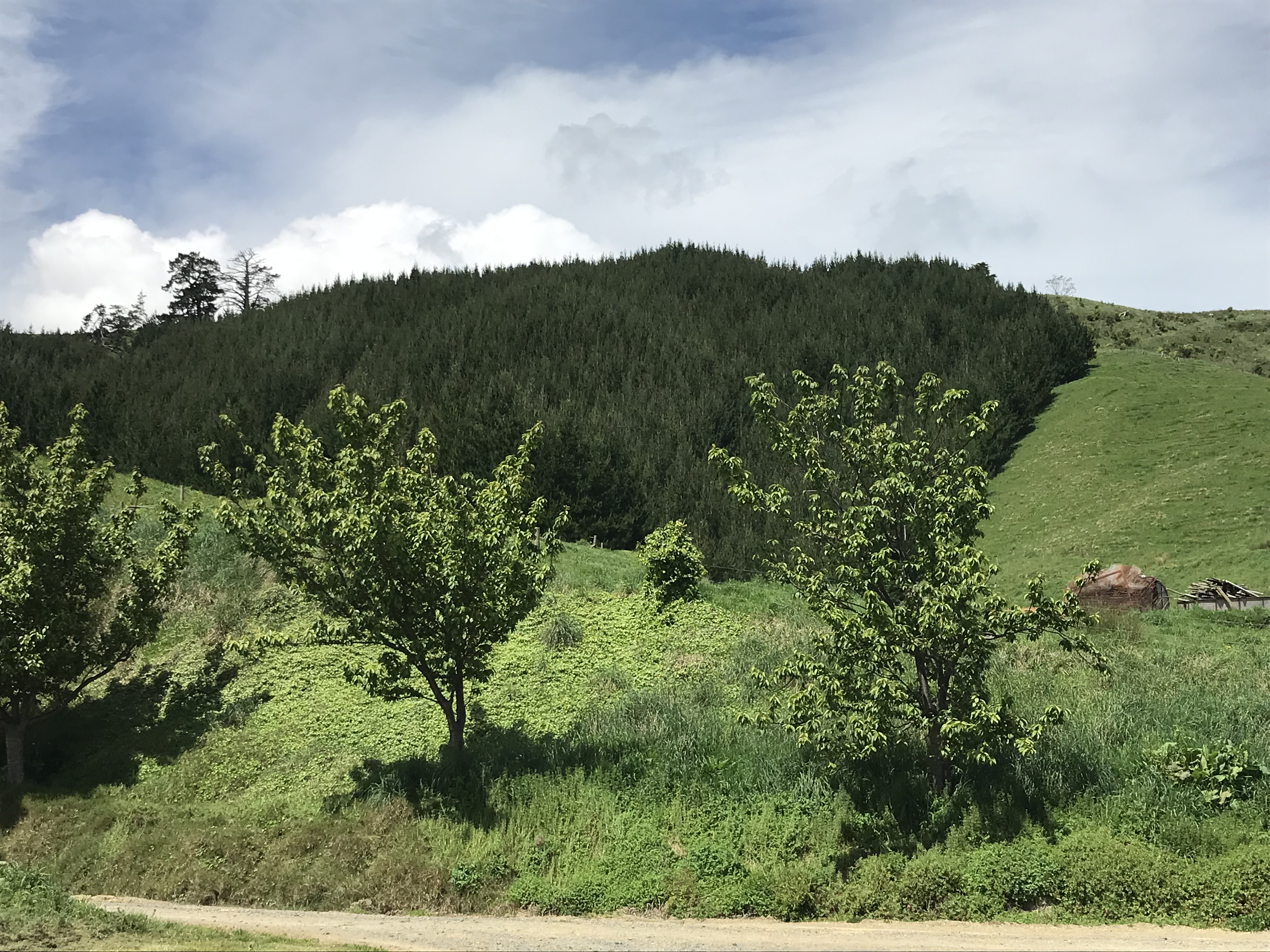 Address withheld Rotoorangi_13