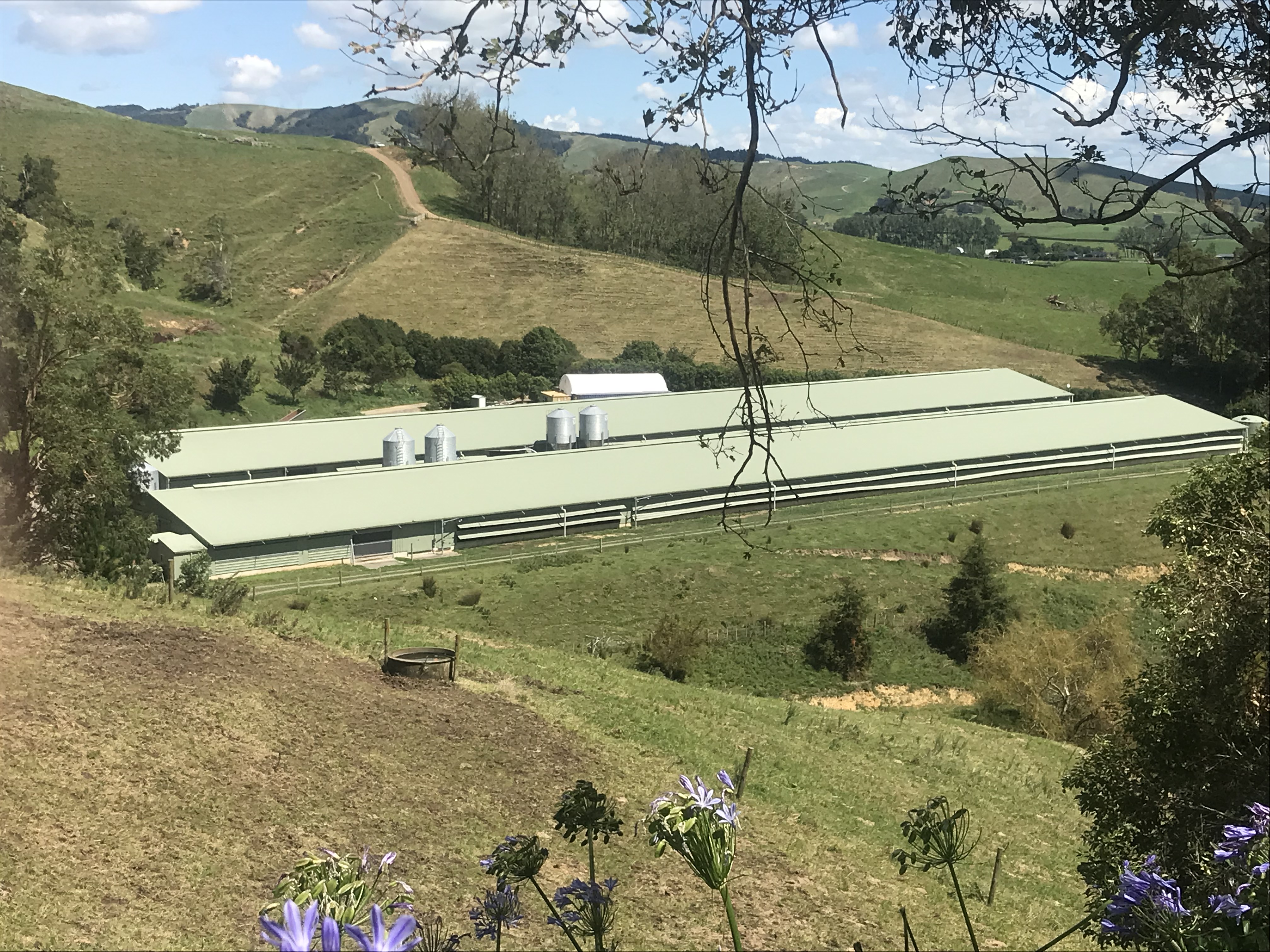 Address withheld Rotoorangi_2