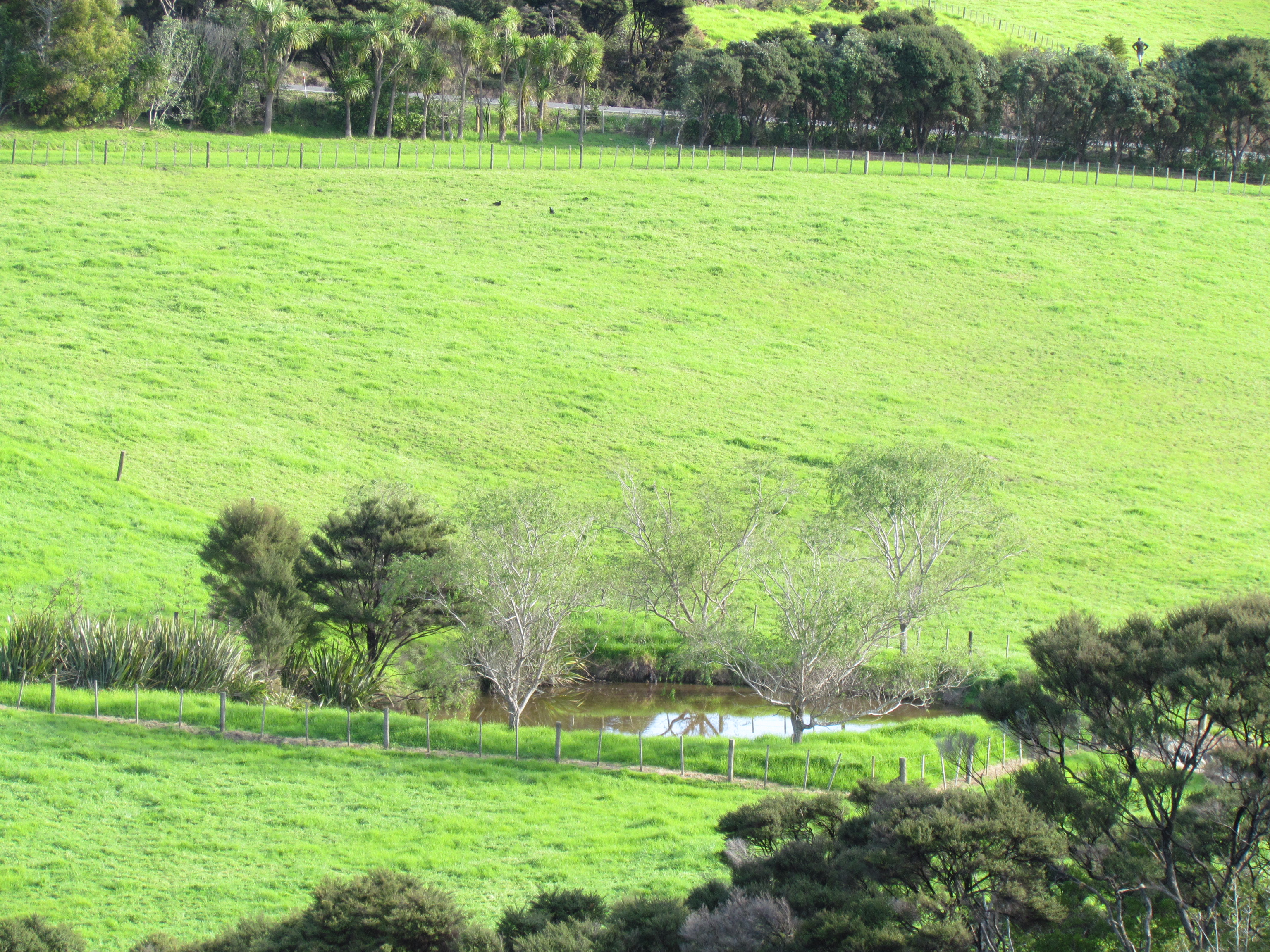 1447 Cove Road Langs Beach_5