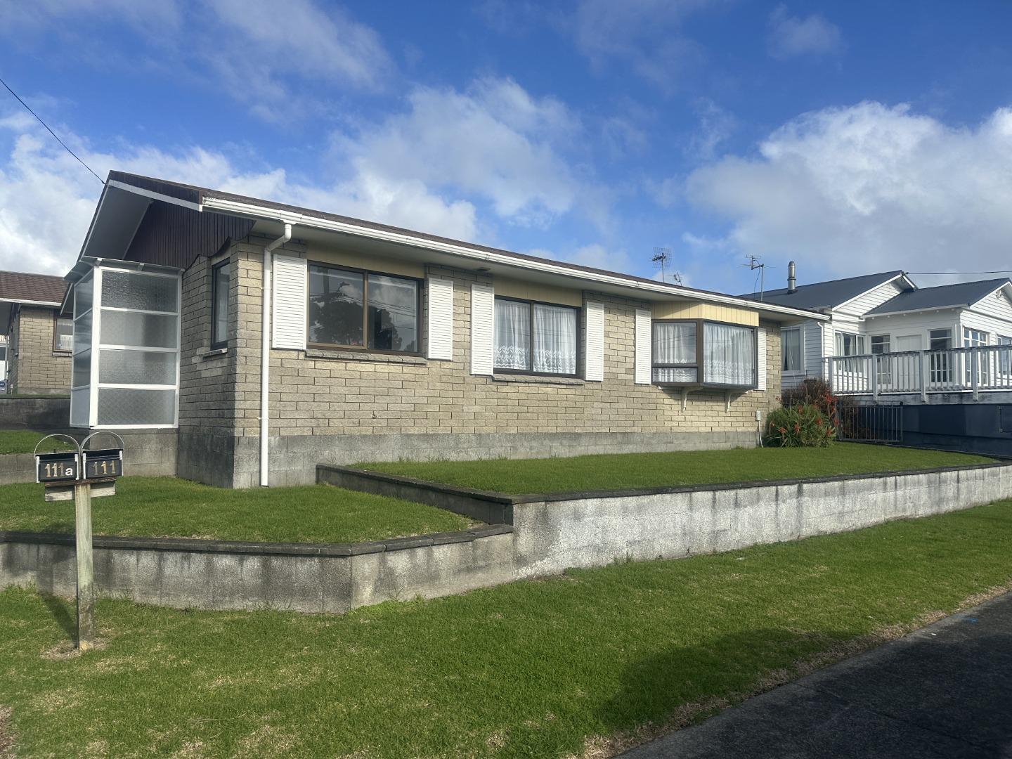 111 Hine Street Marsland Hill_1