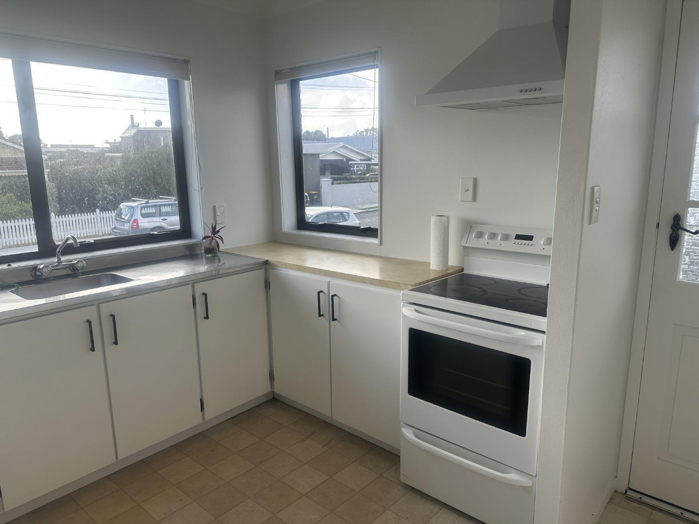 111 Hine Street Marsland Hill_3