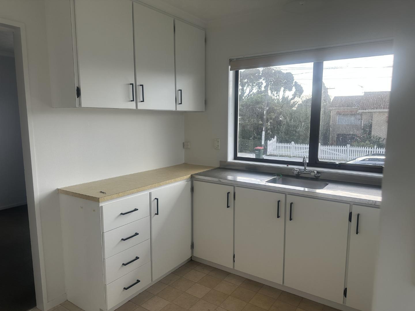 111 Hine Street Marsland Hill_4