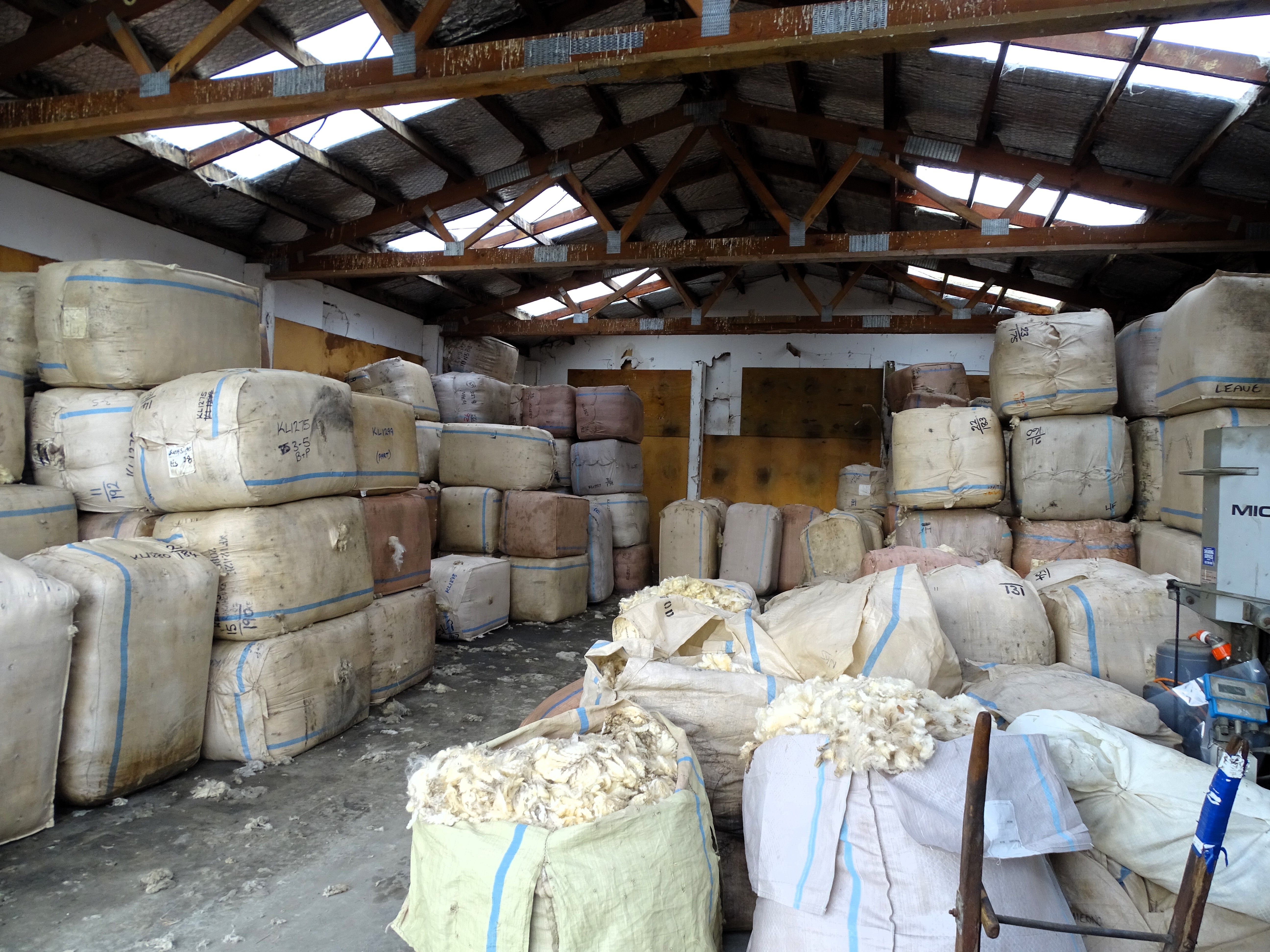 55 Moore Road Lorneville_7